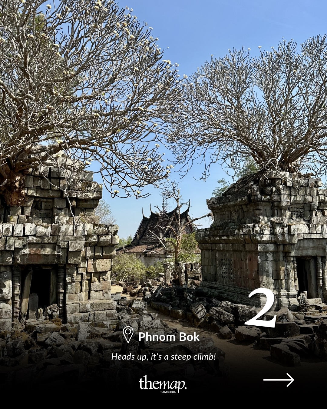 Stone ruins of Phnom Bok temple framed by bare frangipani trees against a blue sky