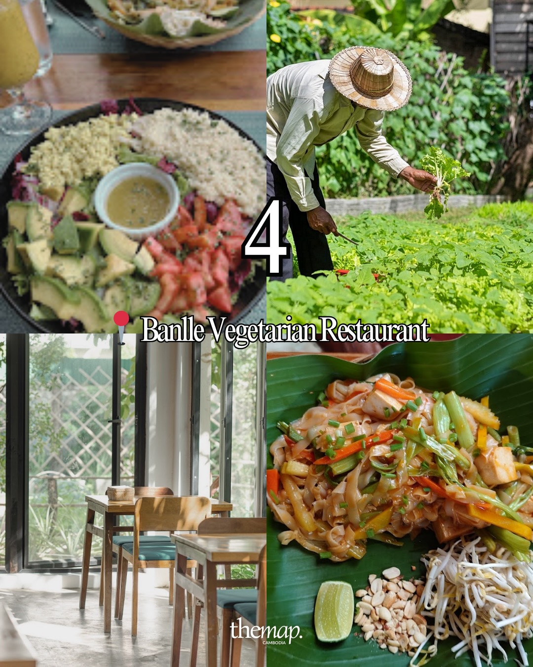 Garden harvesting, fresh salad and stir-fried noodles at Banlle Vegetarian Restaurant in Siem Reap