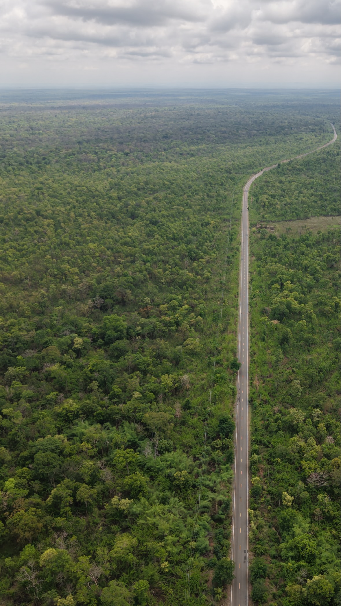 La route forestière entre le Mondulkiri et le Ratanakiri