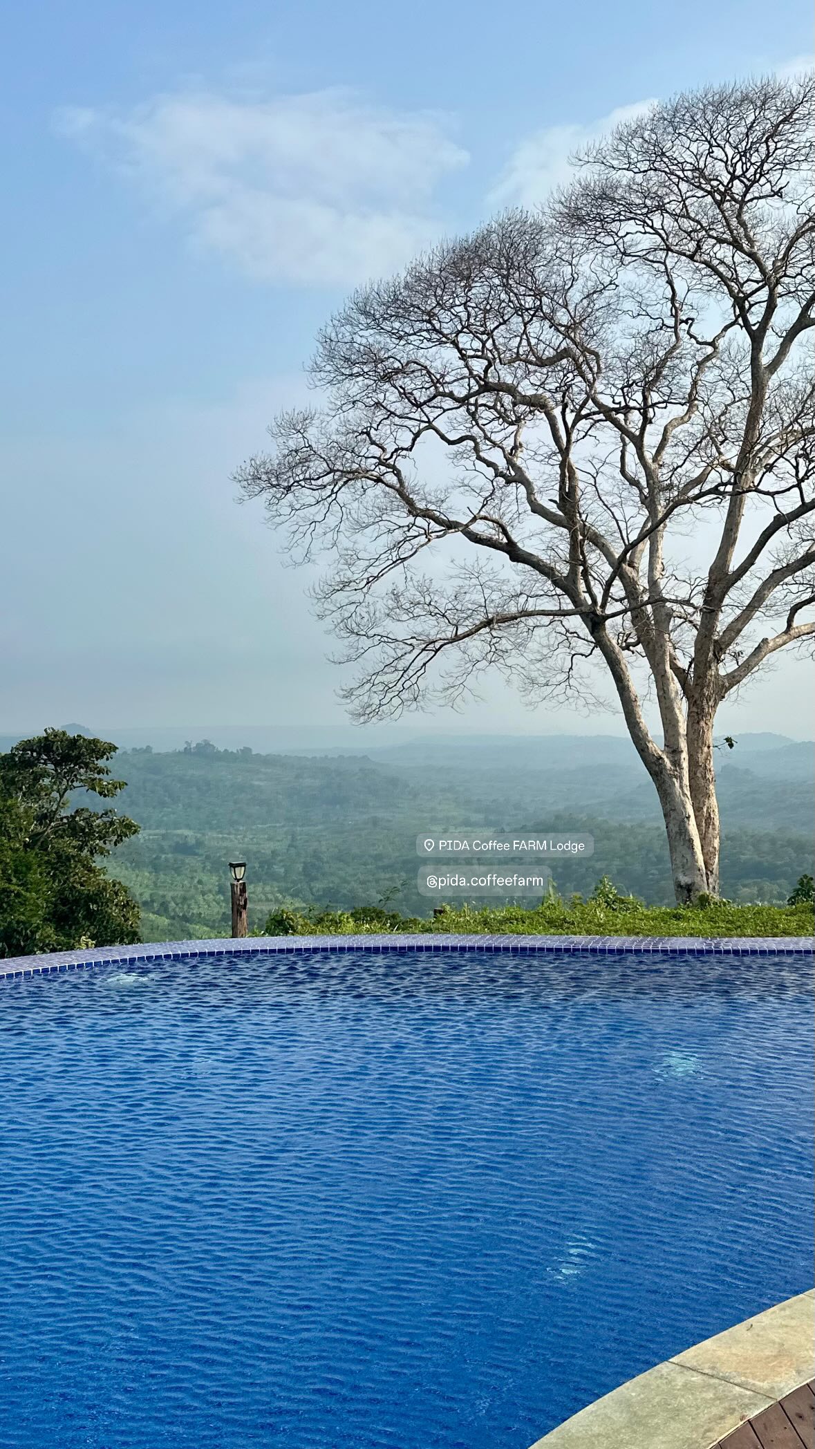 La vue depuis Pida Coffee Farm dans le Mondulkiri