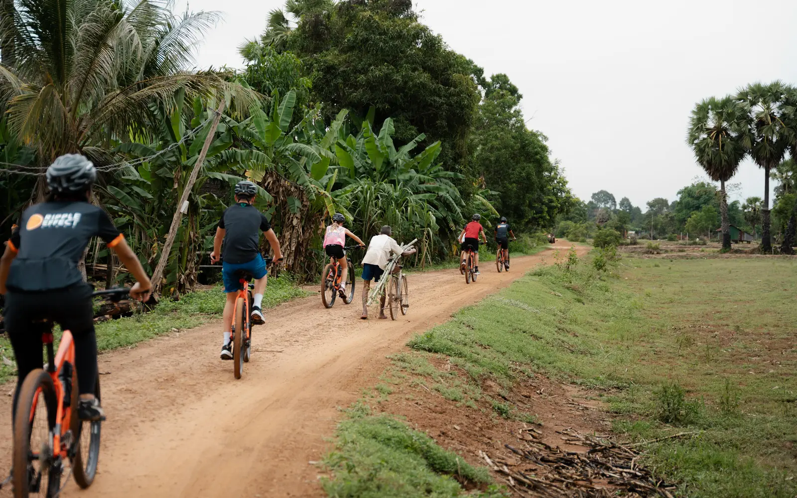 Ripple Effect Rides