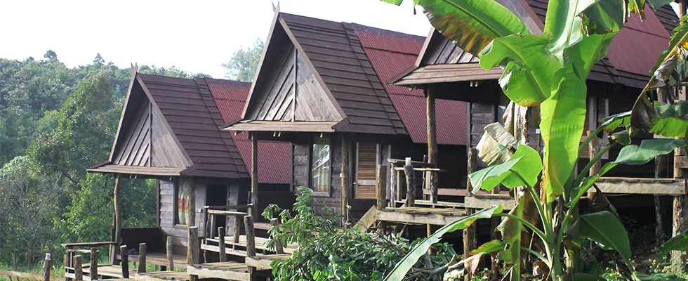Tree Lodge