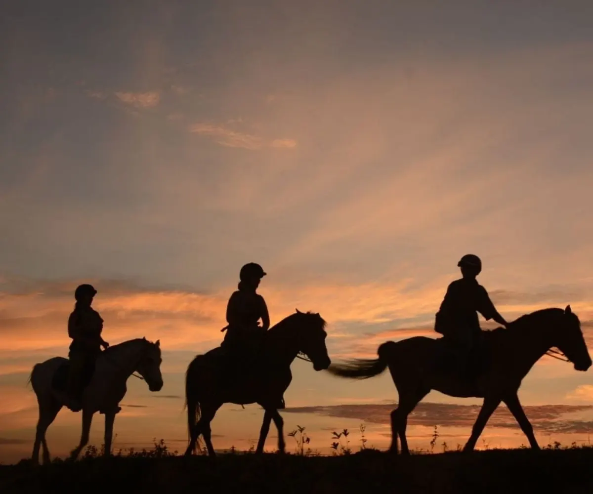 Happy Ranch Horse Riding