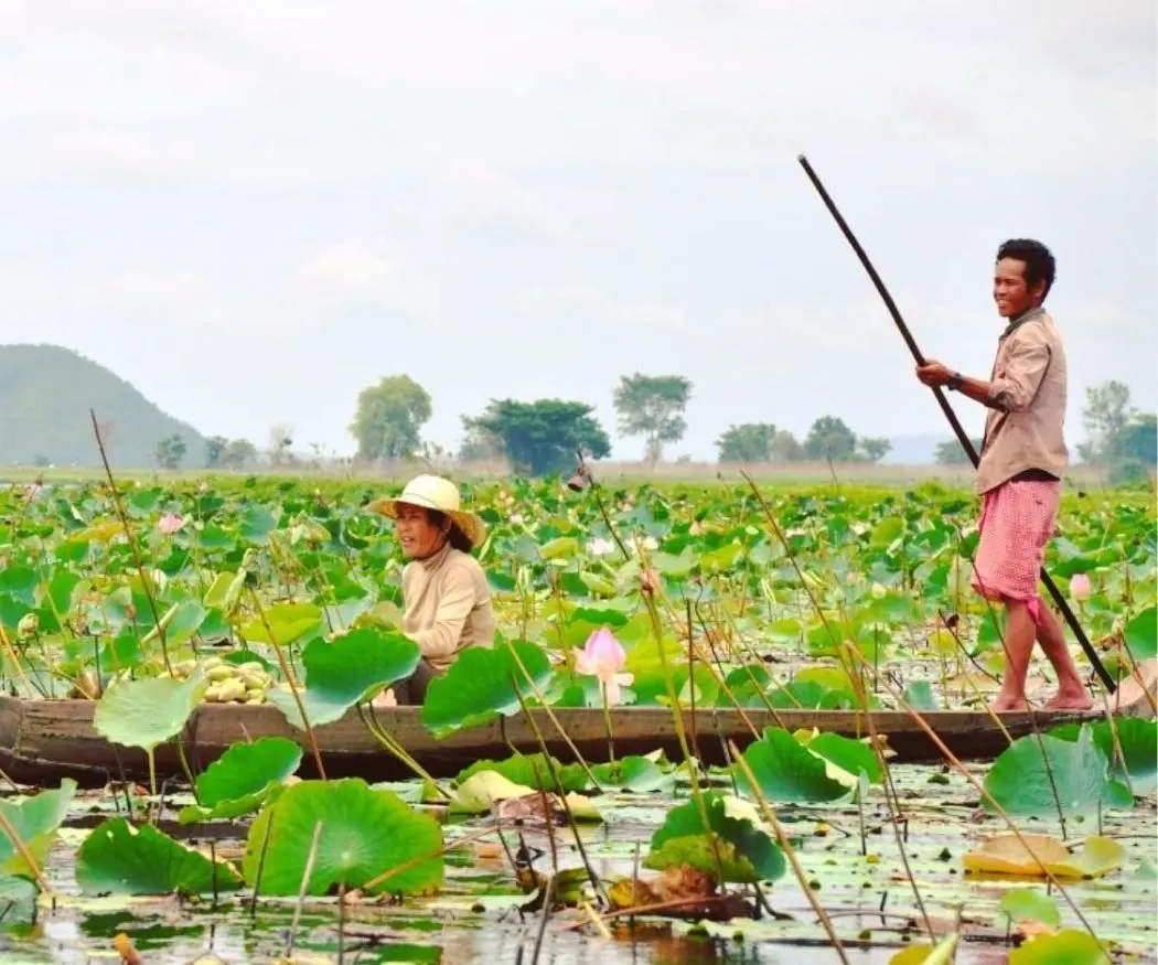 Lotus Silk Farm