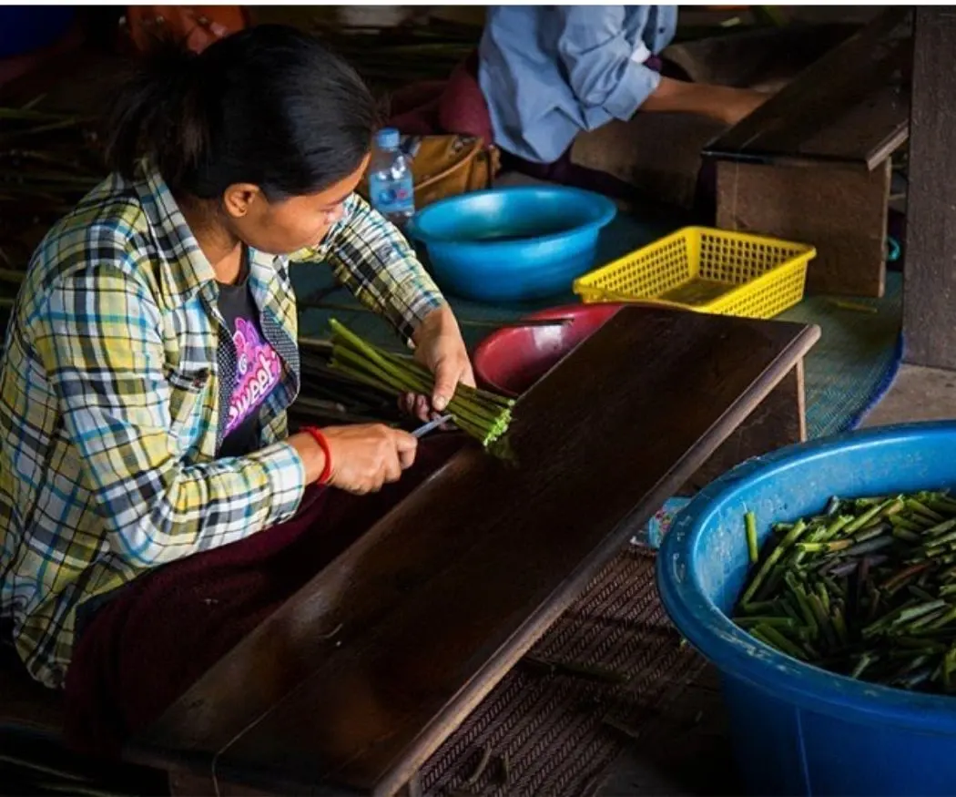 Lotus Silk Farm