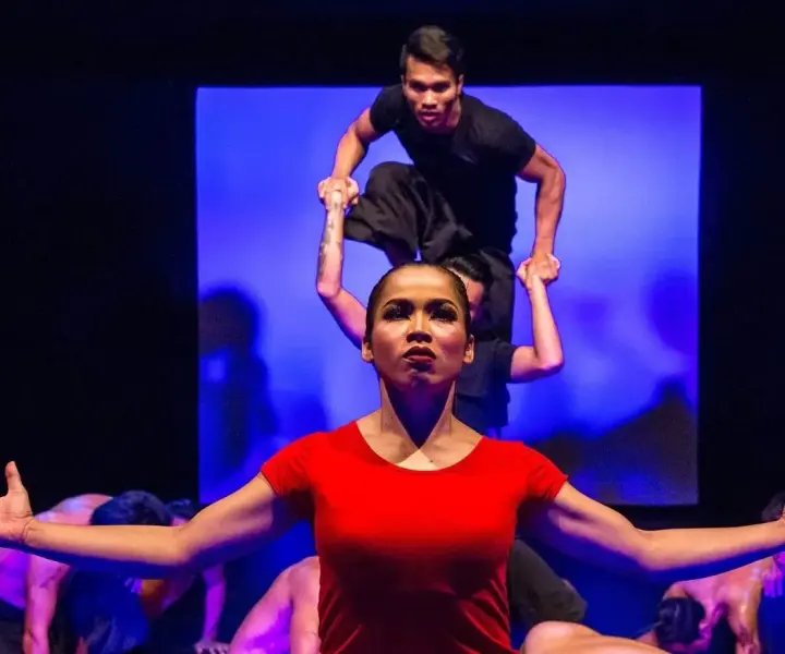 Phare, The Cambodian Circus
