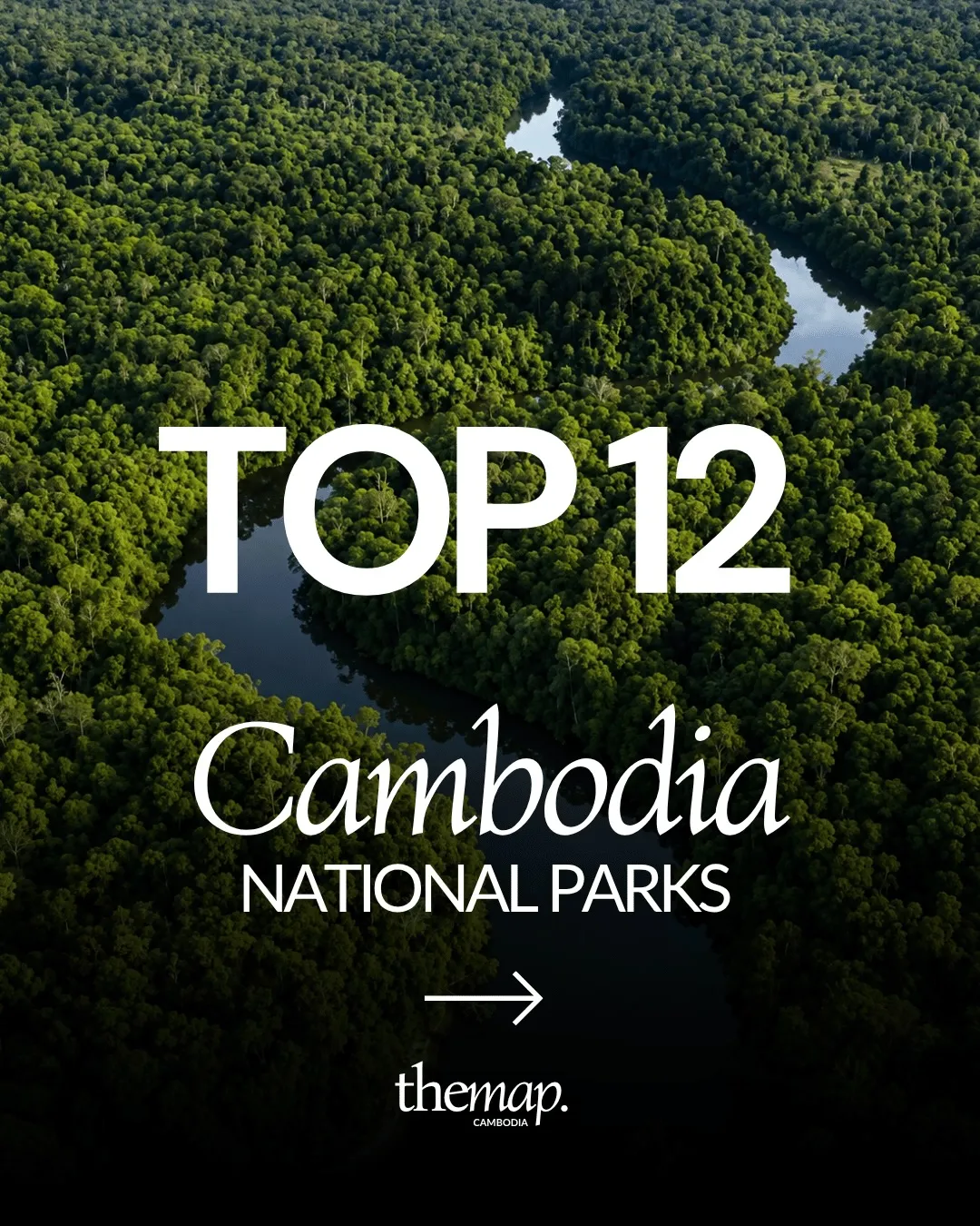 A river winding through unbroken forest canopy in Cambodia, seen from the air