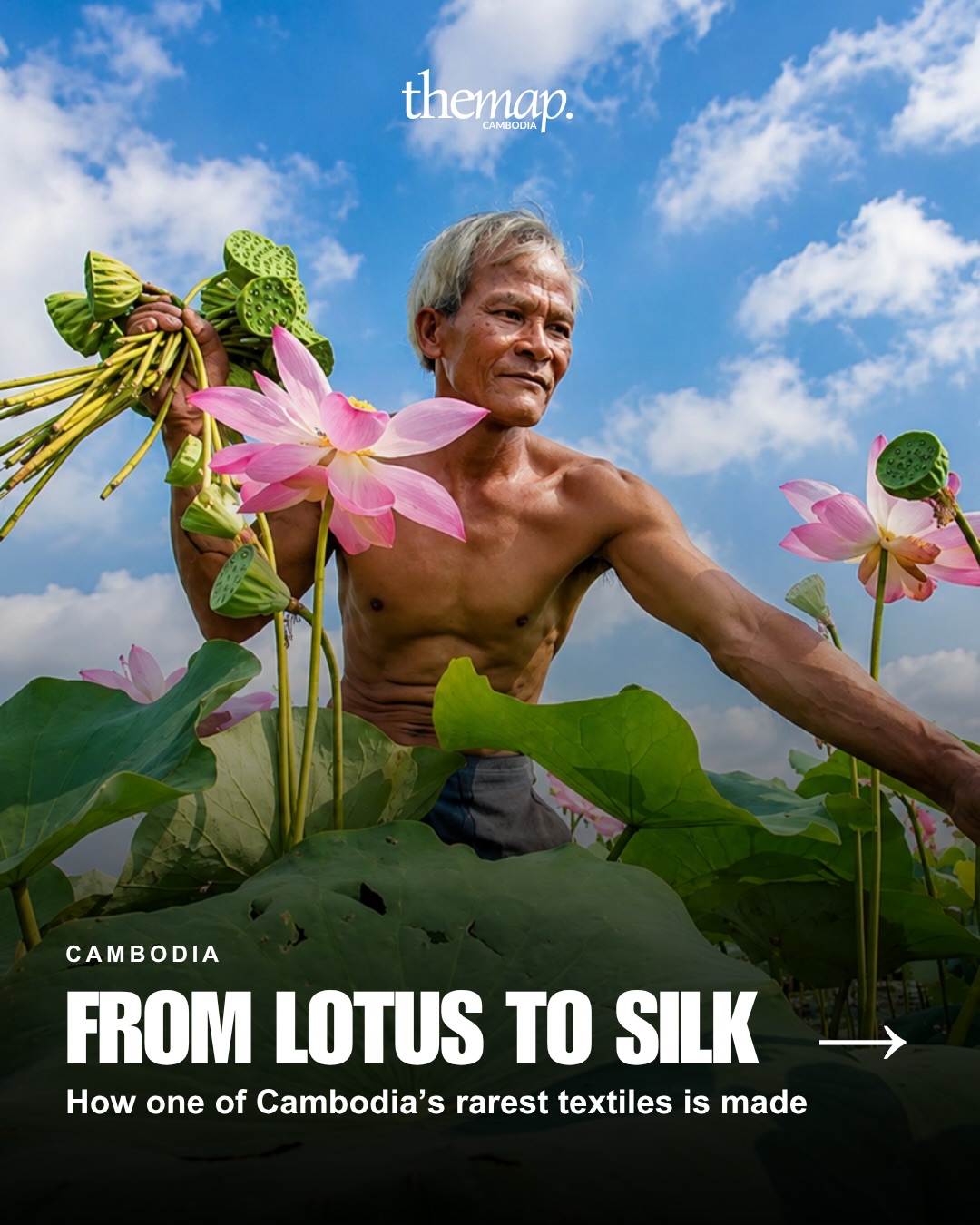Did you know that silk can begin in a lotus pond? 🪷
At Lotus Silk Farm in Siem