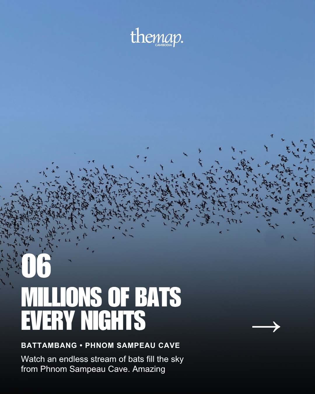 A dense stream of bats crossing the evening sky above Phnom Sampeau