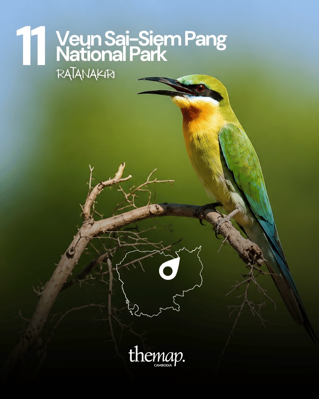 A green bee-eater perched on a bare branch in Veun Sai–Siem Pang