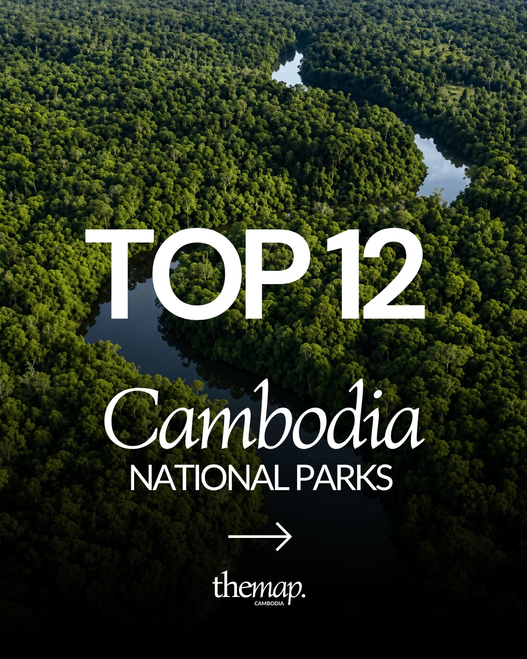 A river winding through unbroken forest canopy in Cambodia, seen from the air