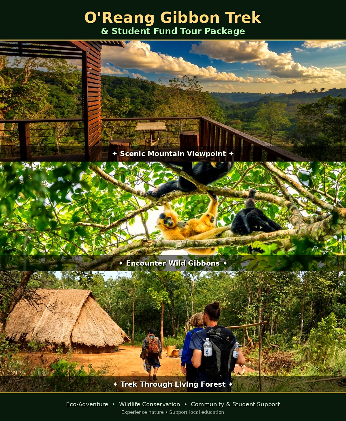 10% Off Jungle Trekking Tour